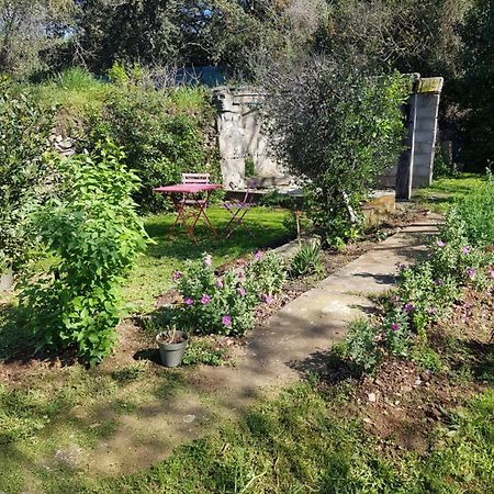 Cap Au Sud Sweet Home Nimes Exterior photo