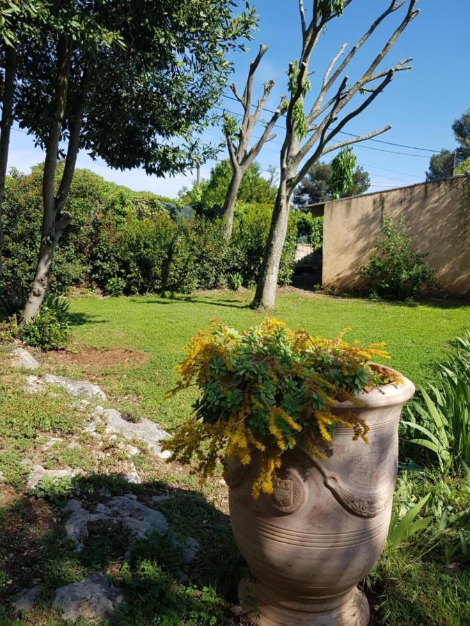 Cap Au Sud Sweet Home Nimes Exterior photo