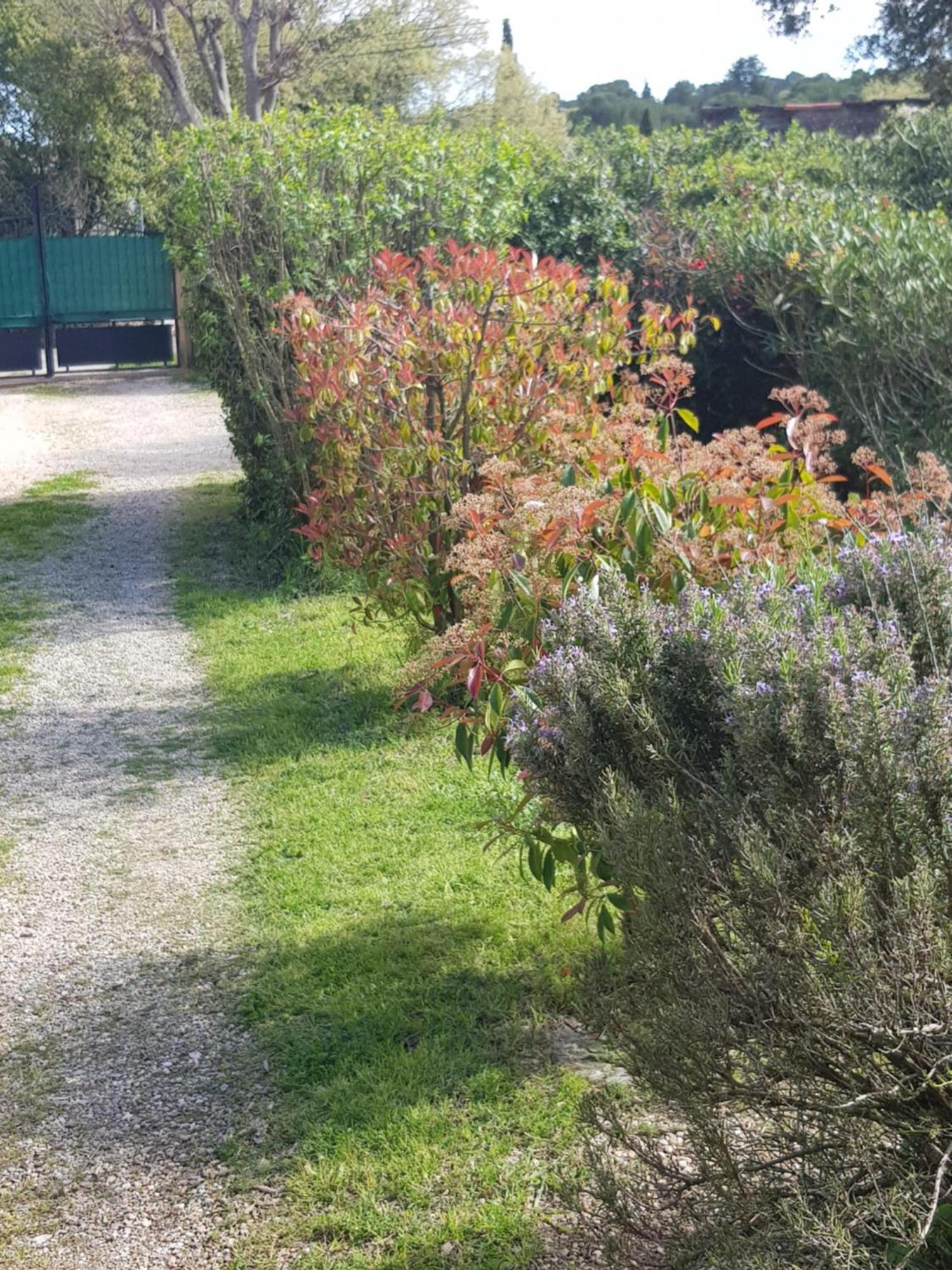 Cap Au Sud Sweet Home Nimes Exterior photo