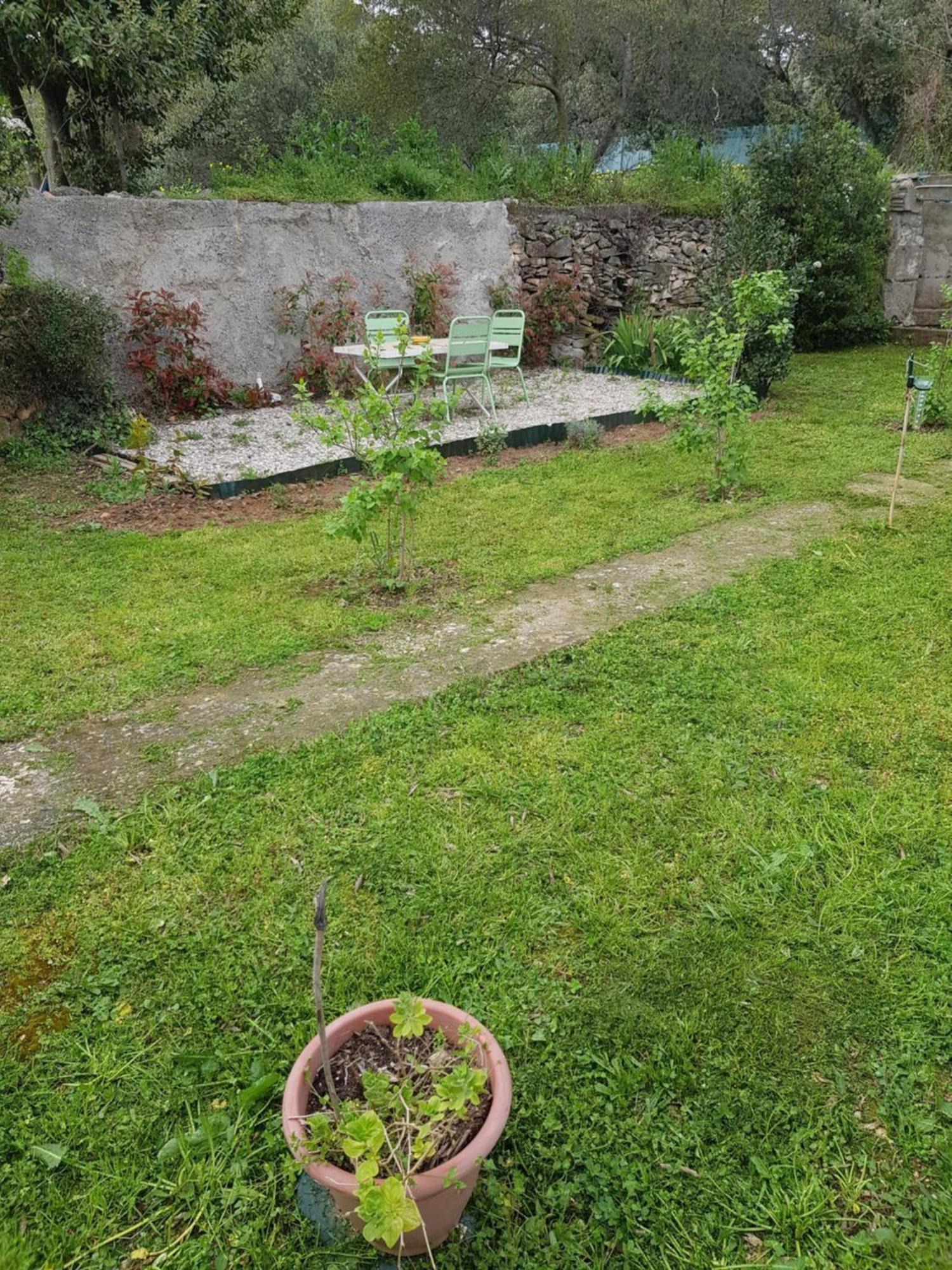 Cap Au Sud Sweet Home Nimes Exterior photo