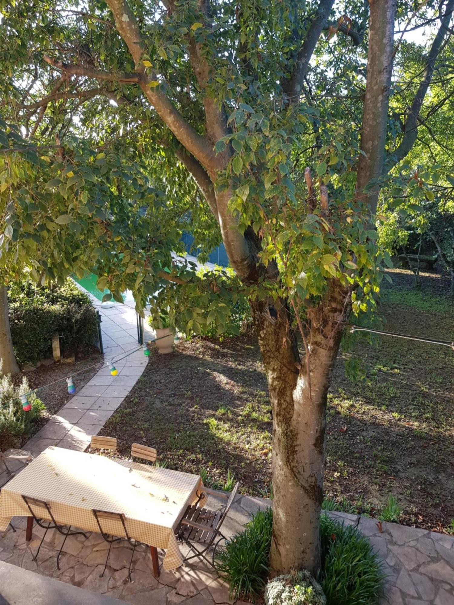 Cap Au Sud Sweet Home Nimes Exterior photo